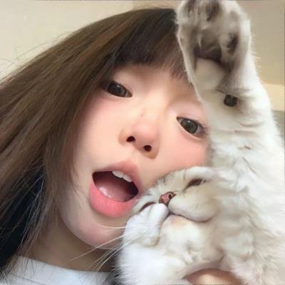 剧集短剧